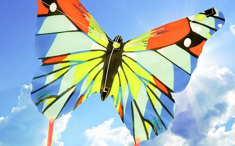 三年级放风筝的作文(精华15篇)