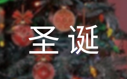 关于圣诞节的作文100字汇编十篇