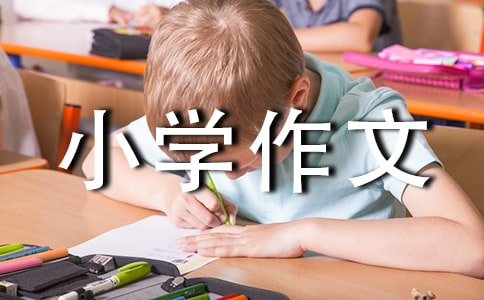 【精品】小学作文400字合集10篇