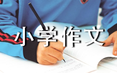 有关小学作文500字集锦八篇
