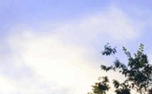 【必备】唯美的早安微信问候语35句