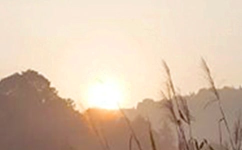 简短的每日一签早安问候语27句